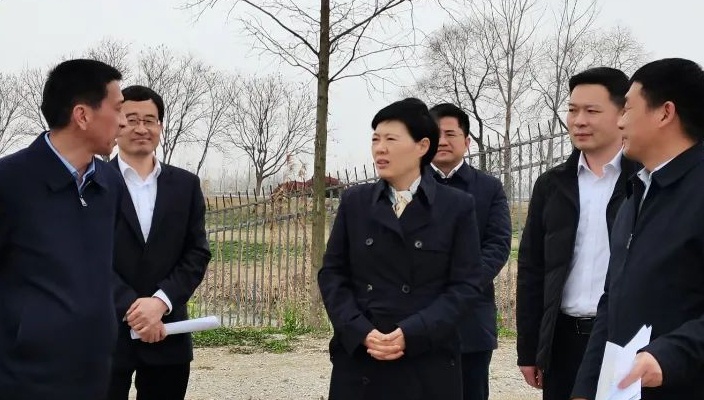 市委副書記趙正蘭赴白馬湖考察淮安大米產(chǎn)業(yè)發(fā)展